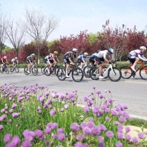 2026年“北京世园公园杯”京张公路自行车公开赛举行|车队|体育局|延庆|北京市自行车运动协会|富士达车队_新浪新闻